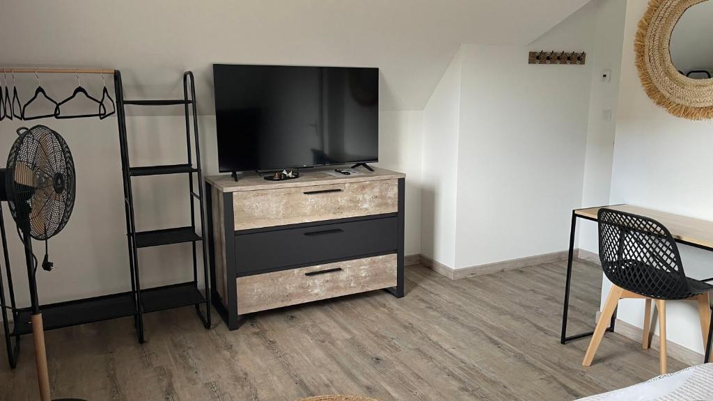 TV a/nebo společenská místnost v ubytování Chambre Zen - SDB WC Privatif - Entrée autonome - Grande TV NETFLIX