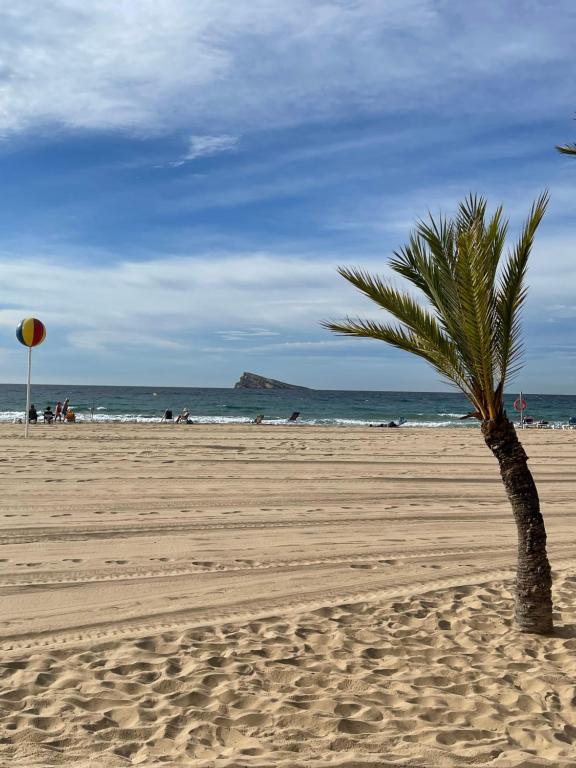 Fotografie z fotogalerie ubytování MarinApartSol 6C v destinaci Benidorm