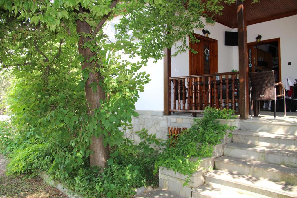 Zahrada ubytování Patroudis House