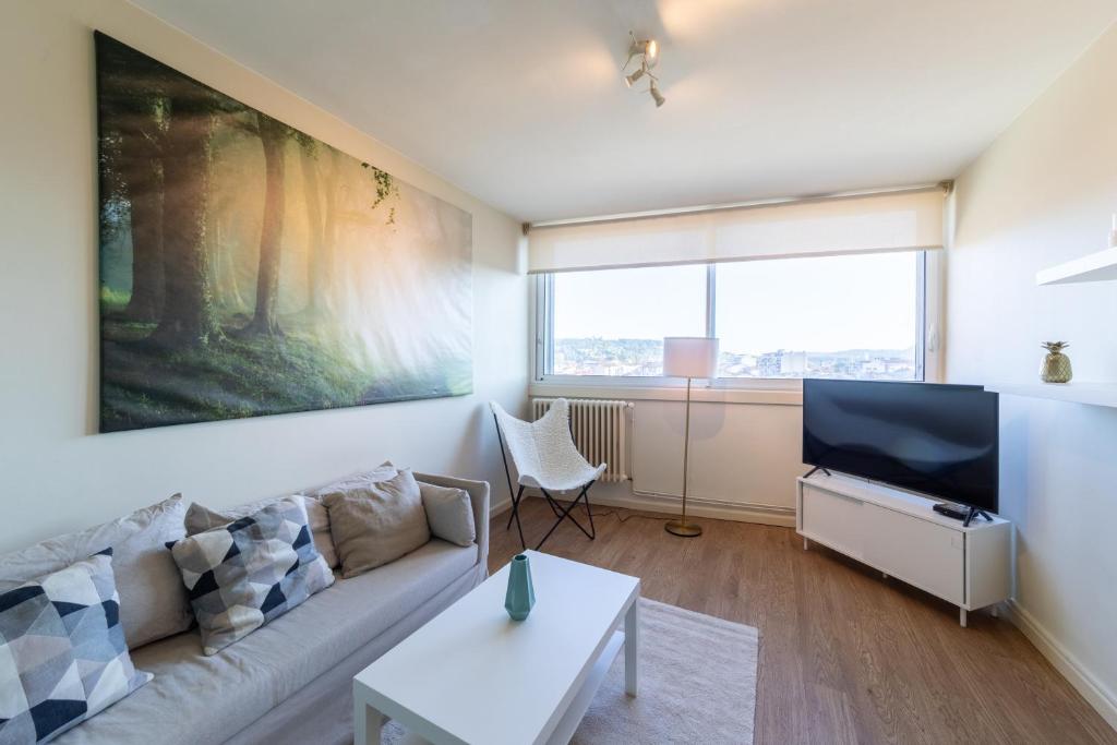 ein Wohnzimmer mit einem Sofa und einem TV in der Unterkunft Le Carnot - A 5min à pied du centre d'Agen in Agen