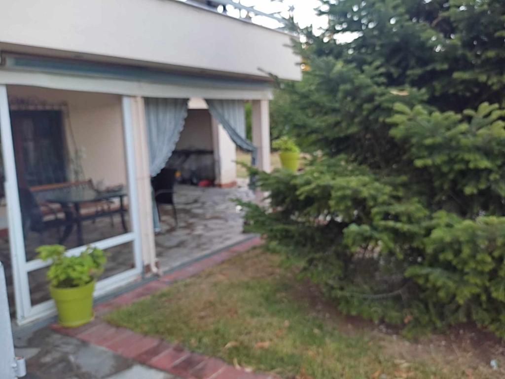 eine Veranda eines Hauses mit einer Bank und Bäumen in der Unterkunft Elaiones house in Thessaloniki
