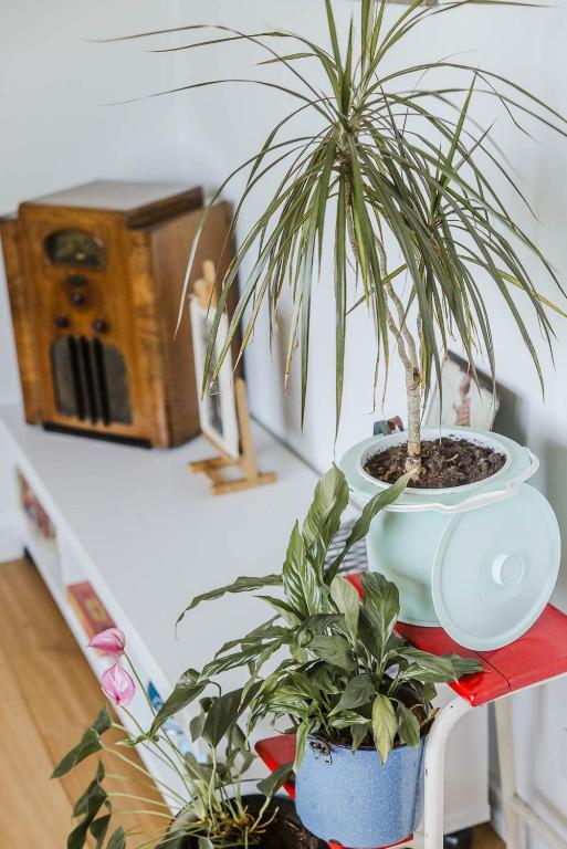 Fotografie z fotogalerie ubytování ScraB&Ble Ecologische gastenkamers v destinaci Bornem