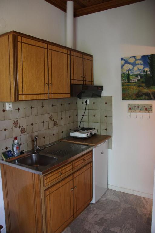 Kuchyň nebo kuchyňský kout v ubytování Patroudis House