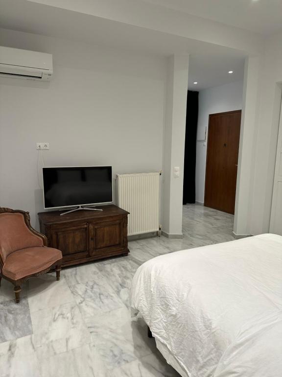 Televízia a/alebo spoločenská miestnosť v ubytovaní Palace Apartment