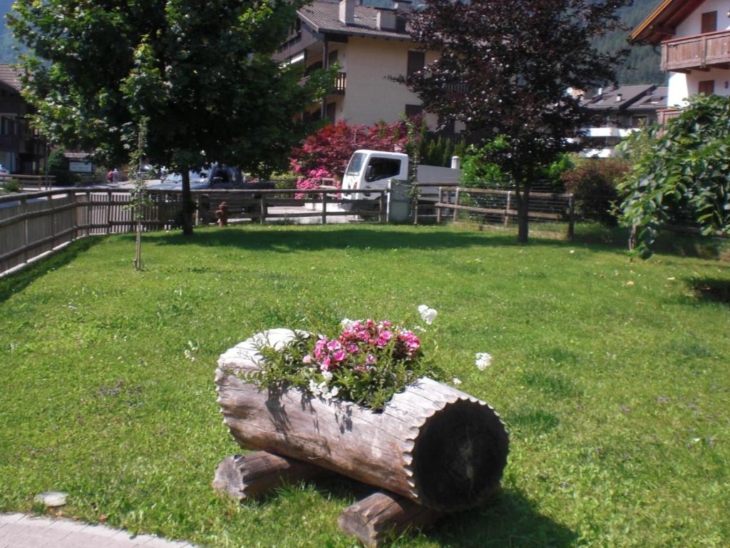 Zahrada ubytování Albergo Garni Martina