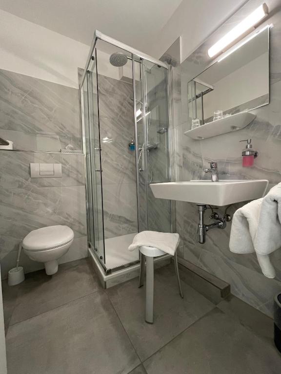 Hotel Rosenheim - Single Room With Private Bathroom