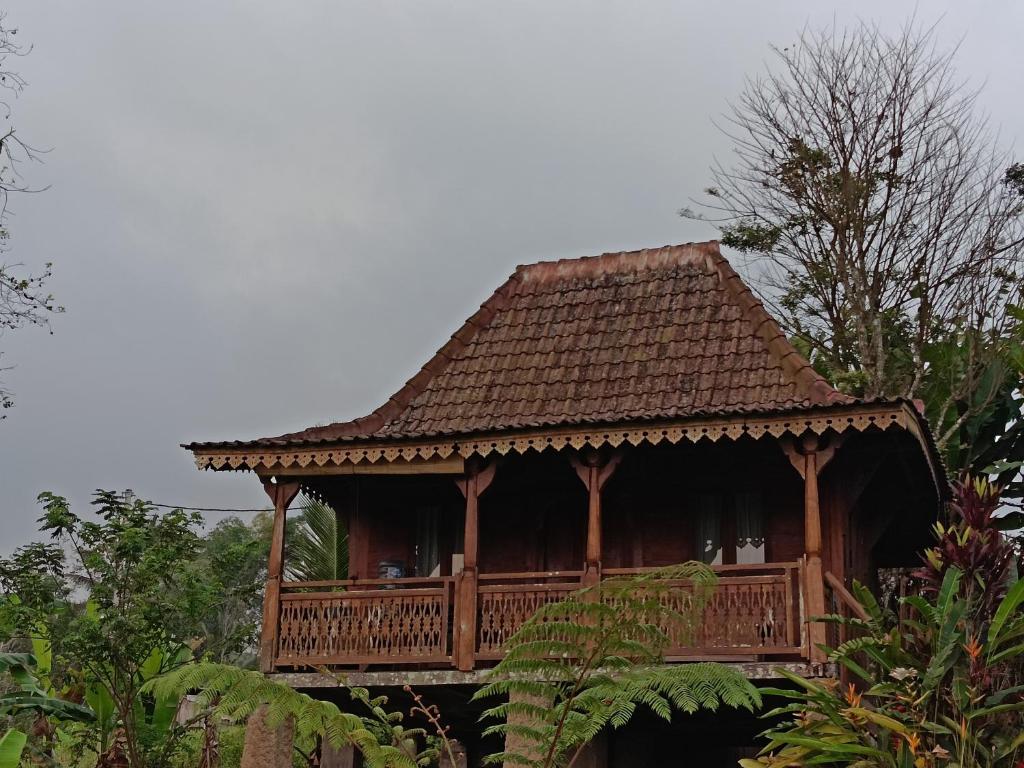 D'Ume Bendoel Homestay - 10