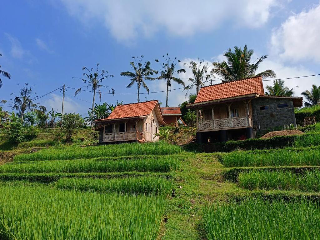 D'Ume Bendoel Homestay - 7