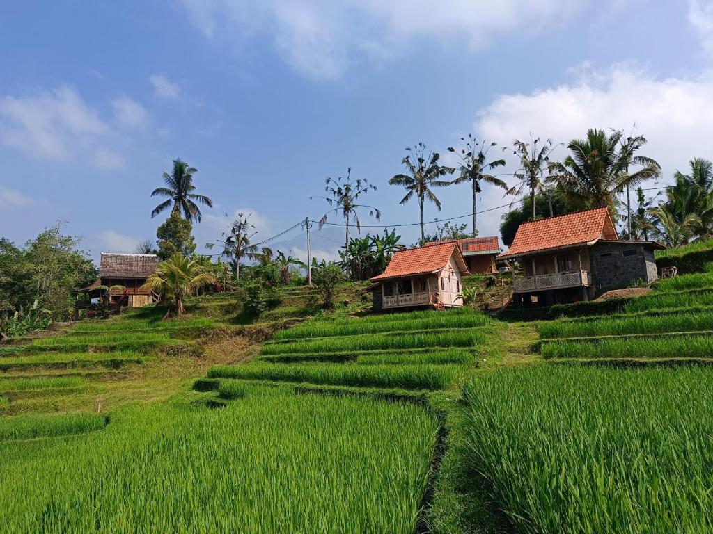 D'Ume Bendoel Homestay - 17