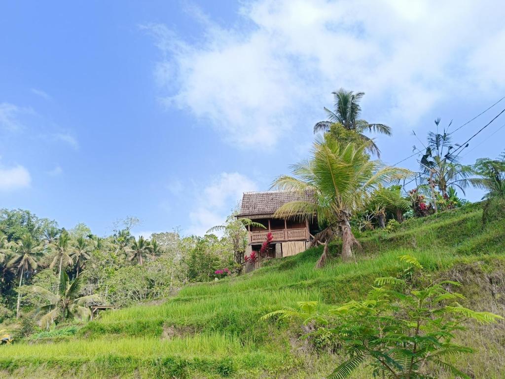 D'Ume Bendoel Homestay - 2