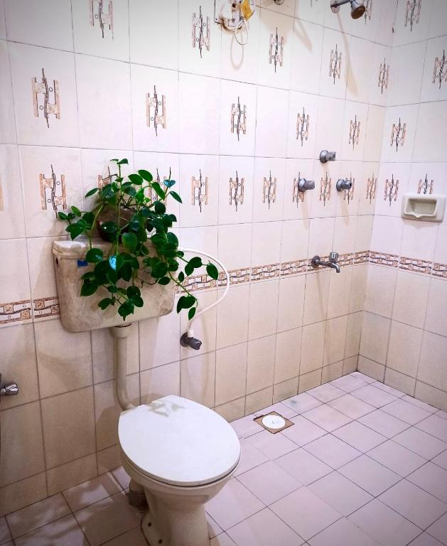 Koupelna v ubytování Anjunapalms GuestHouse
