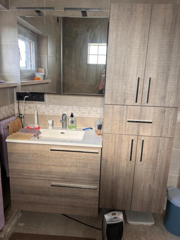 un bagno con lavandino e specchio di Chambre dans habitat partagé chez Séverine a Nivelles