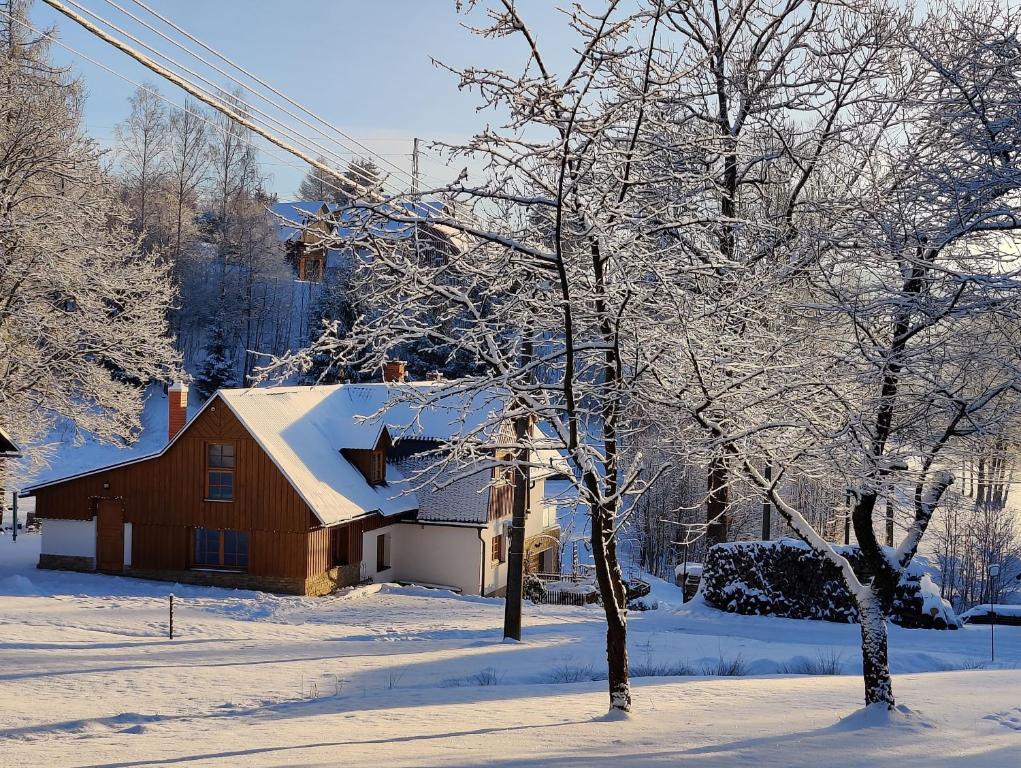 een huis bedekt met sneeuw naast een boom bij Luxusní apt Hory 7 v Krkonoších in Vysoké nad Jizerou