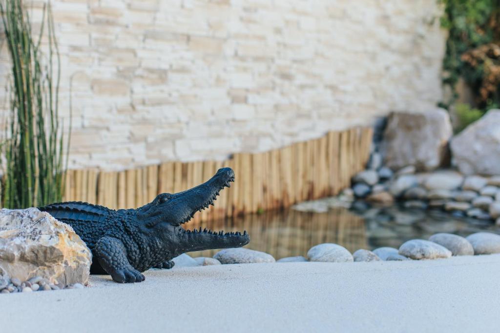 Le Drip's - Resim 18