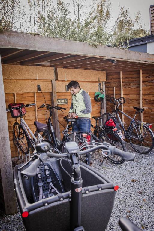 Jízda na kole v ubytování ScraB&Ble Ecologische gastenkamers nebo okolí