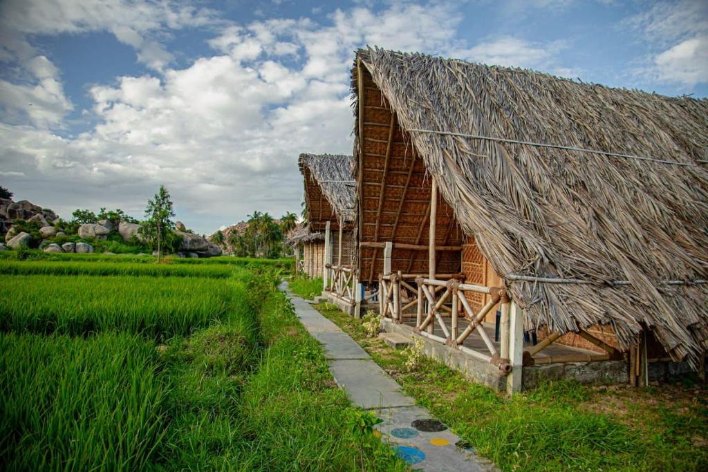 Zahrada ubytování Om home hampi