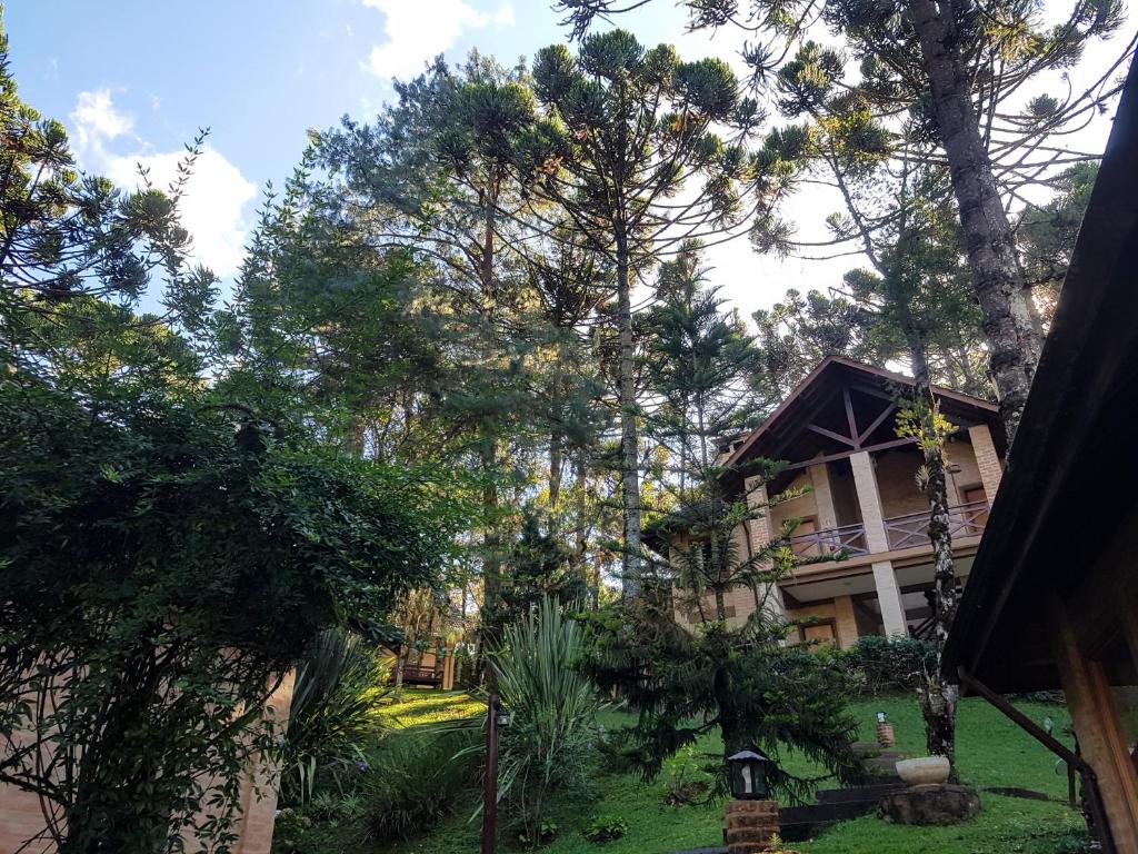a house in the middle of a forest with trees at Pousada Bucaneve in Monte Verde