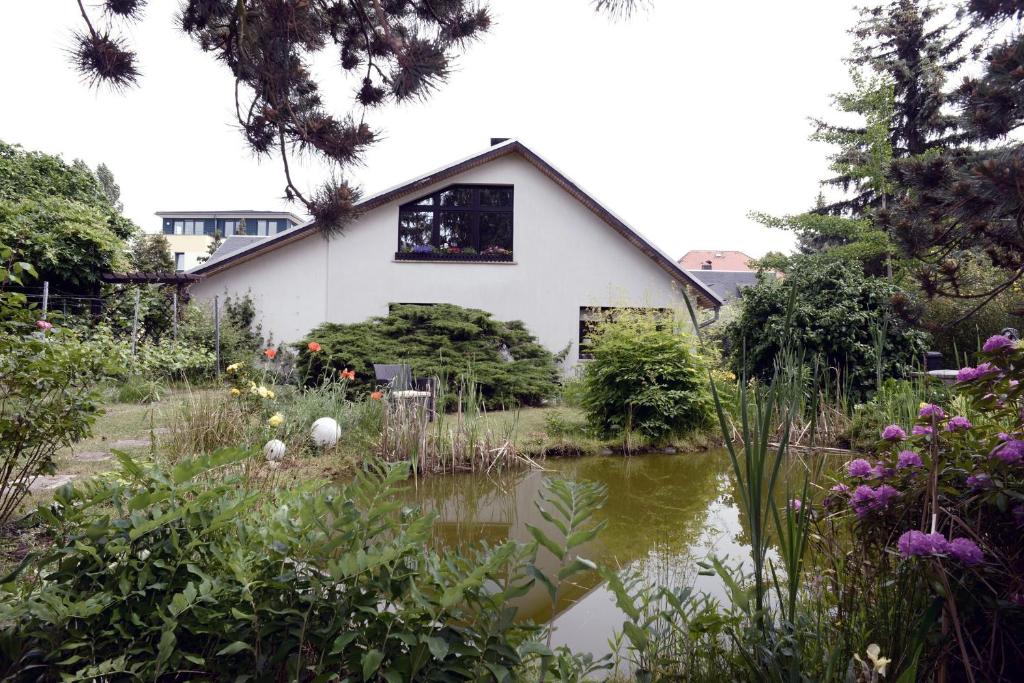a house with a pond in front of a garden at Ferienwohnung Nessler in Radebeul