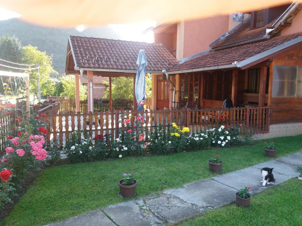 un perro sentado frente a una casa con flores en Guesthouse Tadic, en Guča