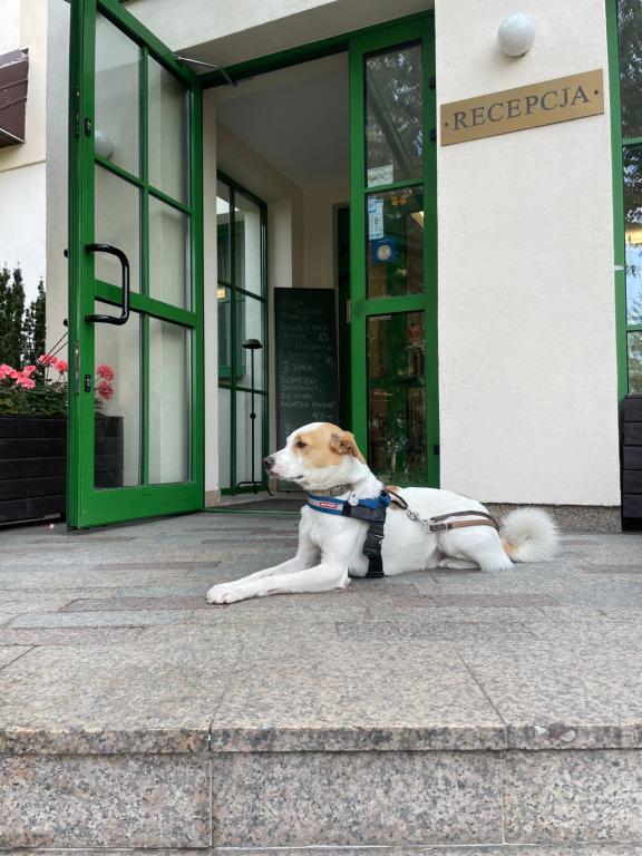 Domácí mazlíčci ubytovaní s hosty v ubytování Hotel Gaja