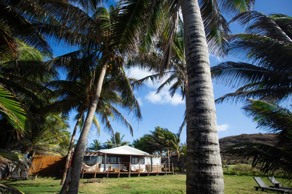 a house on the beach between two palm trees at Pousada Santu Noronha in Fernando de Noronha