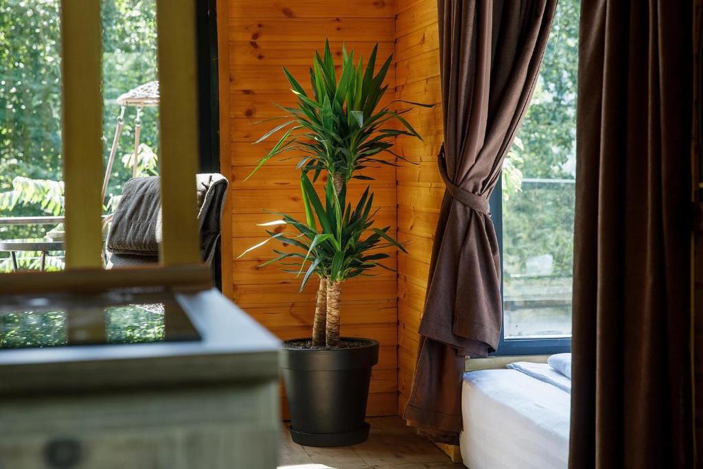 Woodpecker Georgia - Family Room With Lake View