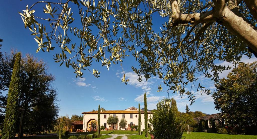 una casa en un parque con un árbol en B&B ai Condotti di Pisa da Filippo en San Giuliano Terme