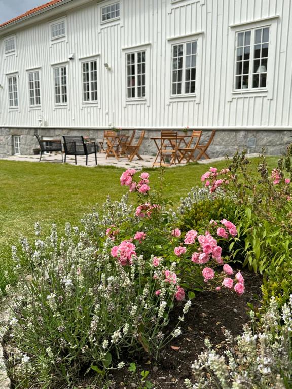 Aed väljaspool majutusasutust Crusellska Vandrarhemmet