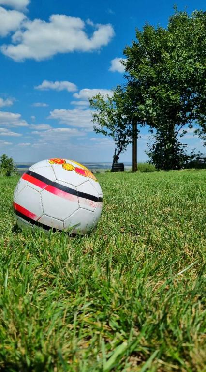Fotografie z fotogalerie ubytování Casa Horizont v destinaci Slankamenački Vinogradi