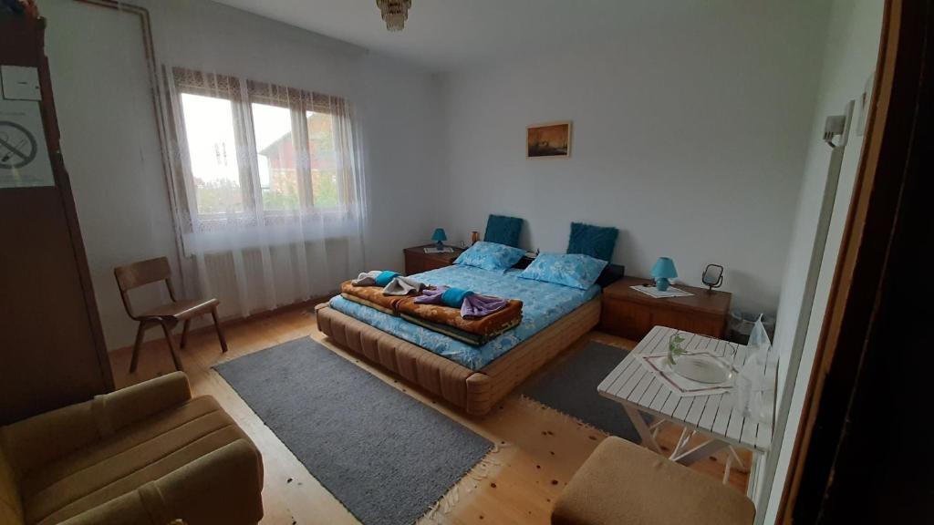 sala de estar con cama y sofá en Stefanovića kuća en Babušnica