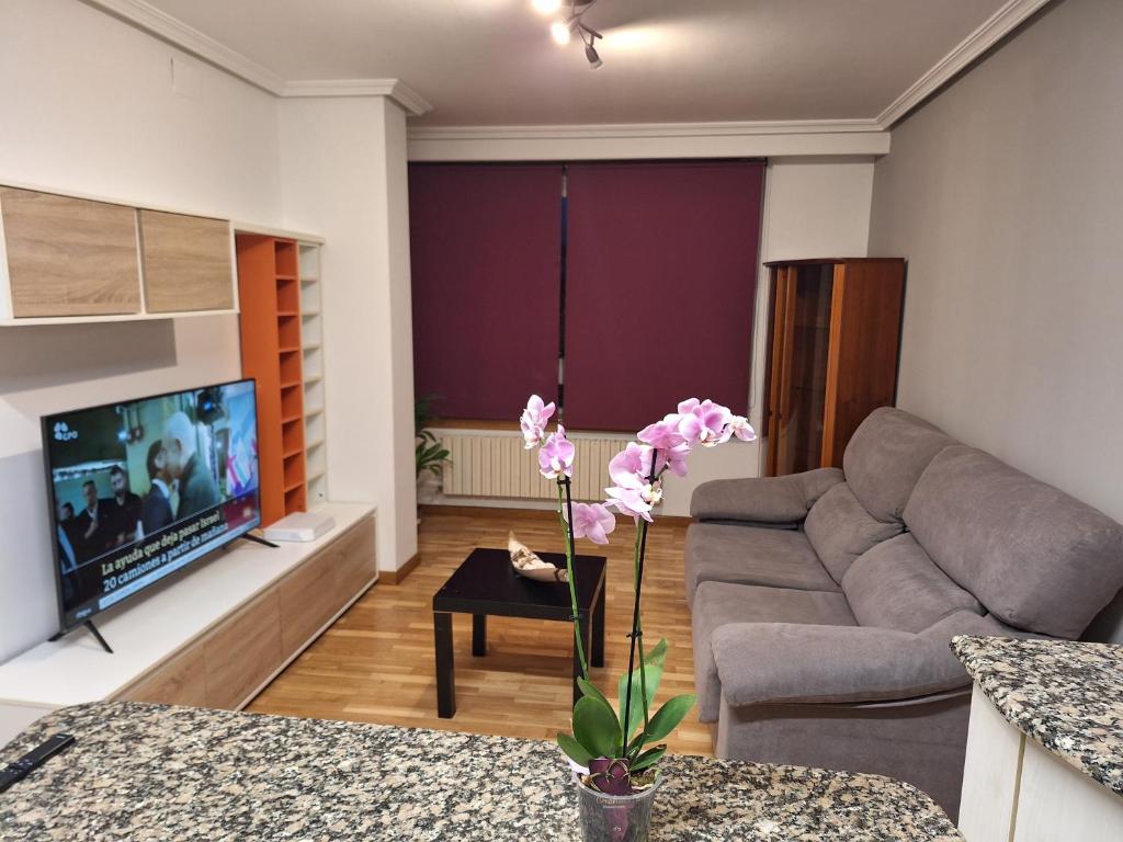 ein Wohnzimmer mit einem Sofa und einem TV in der Unterkunft Piso Millenium in Ourense