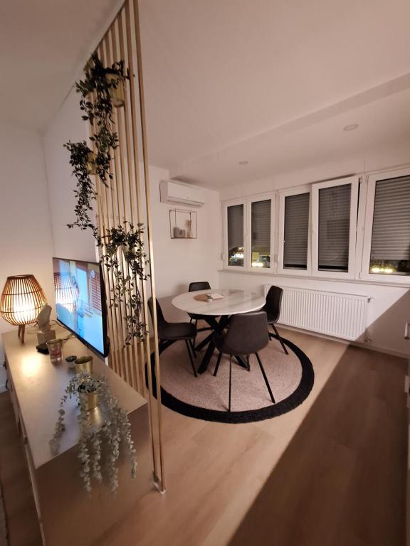 DOLLY APARTMENT - 12