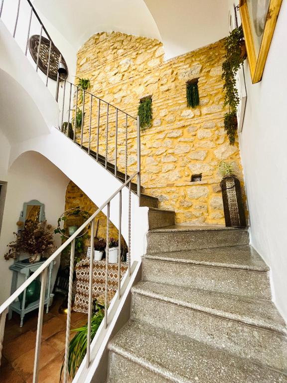 Casa Turística San Agustín - 15