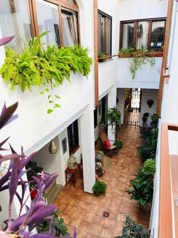 Casa Turística San Agustín - 14