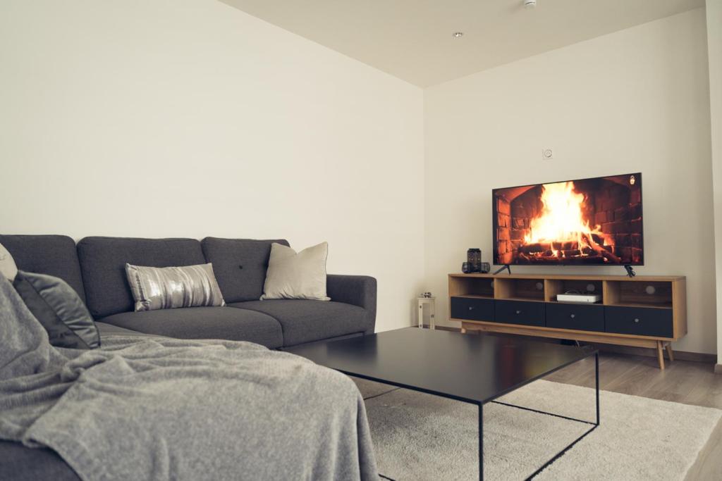 un salon avec un canapé et une télévision dans l'établissement Mon nid d'amour!, à Dunkerque