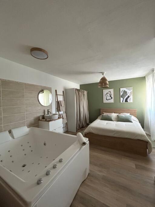 um quarto com uma cama e uma banheira em Romantique Room em Muret
