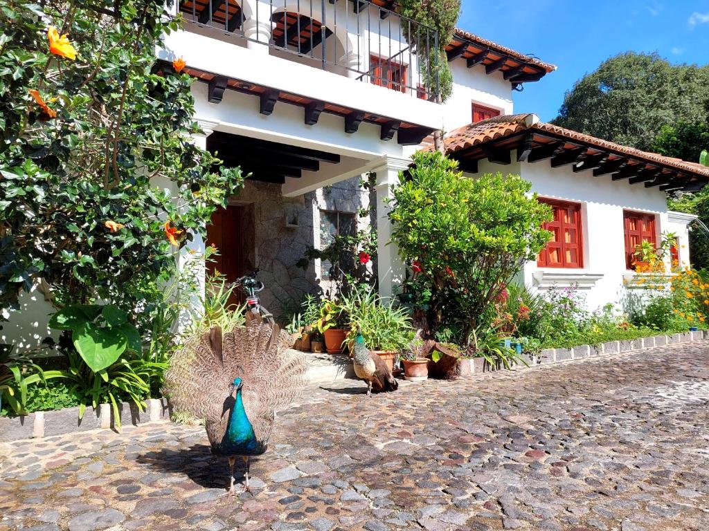 una casa con una estatua de pavo real delante de ella en Hotel Casa Búho B&B, en Antigua Guatemala