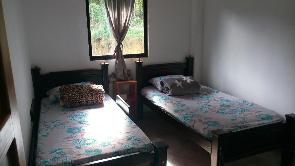 a room with two beds and a window at Hospedaje Naturaleza Viva in San Rafael