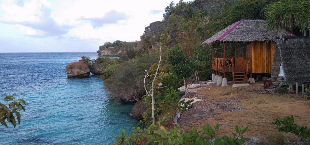 Tano的住宿－Pombero lodge，海边小山上的房子
