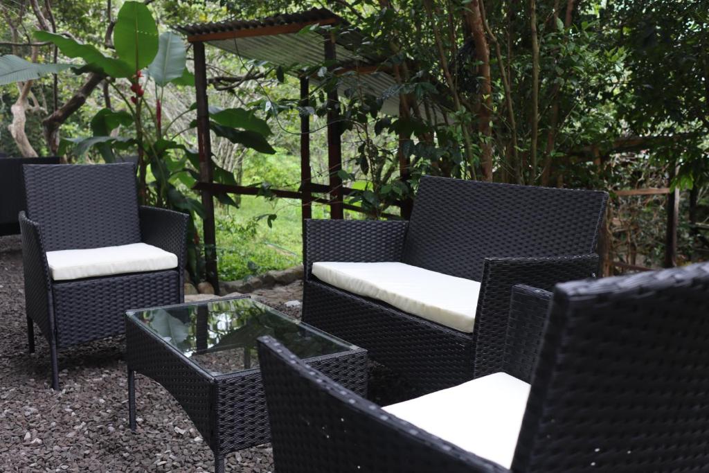 Zahrada ubytování Boquete Firefly Inn