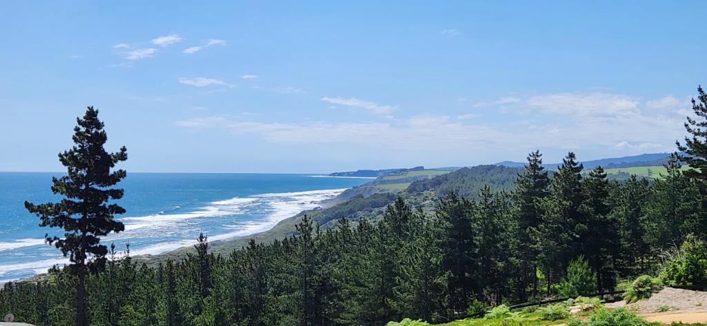 uma vista para uma praia com árvores e o oceano em Maravillosas Vistas Boyeruca Lodge em Vichuquén