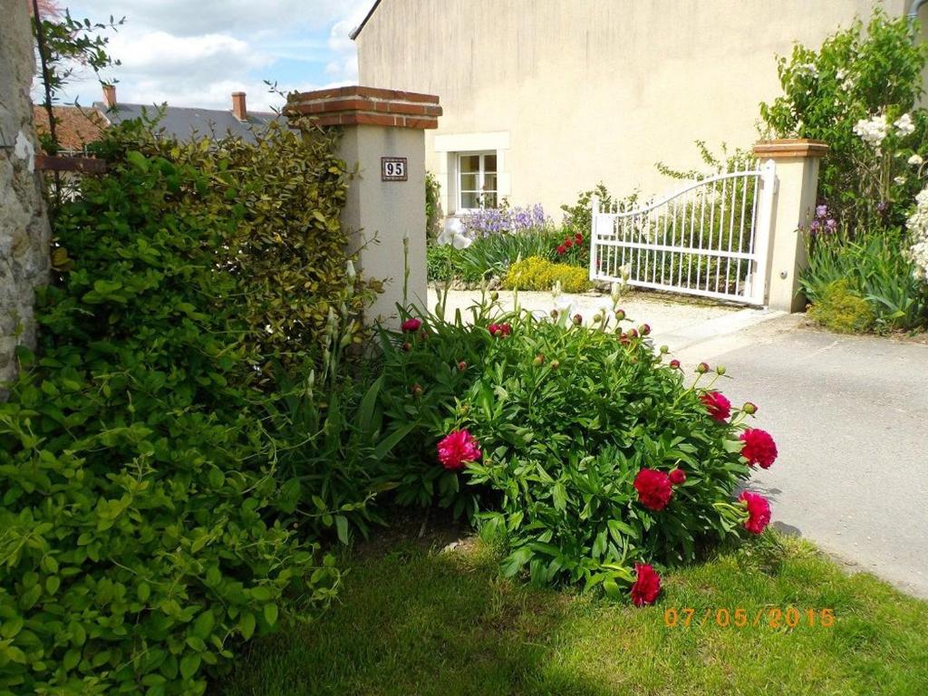 einen Garten mit roten Rosen vor einem Haus in der Unterkunft Gîte Vennecy, 3 pièces, 4 personnes - FR-1-590-392 in Vennecy