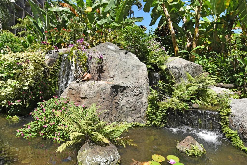 Zahrada ubytování Kaanapali Shores 942