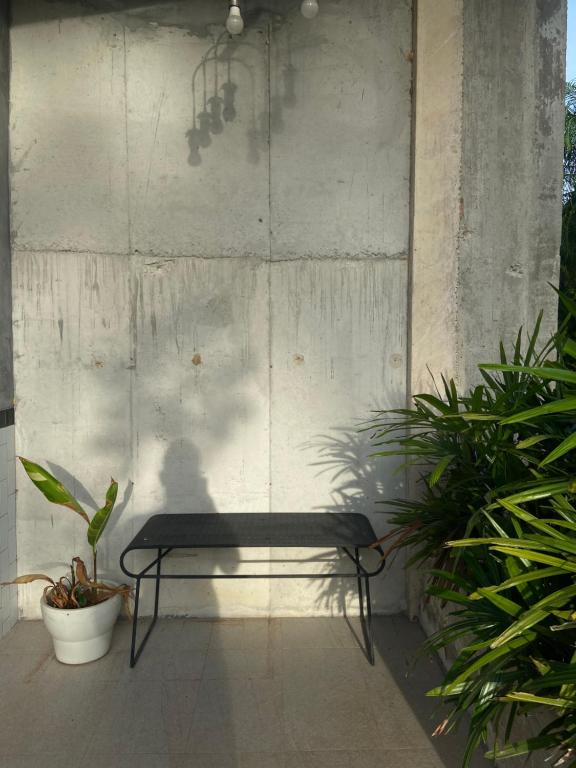 a shadow of a person sitting on a bench at Forest Guesthouse in Ban Don Muang