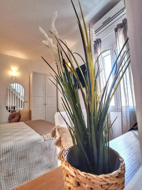 Carpe Diem B&B e Case Vacanza - 11