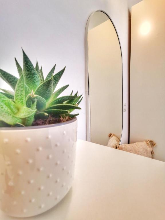 Carpe Diem B&B e Case Vacanza - 13