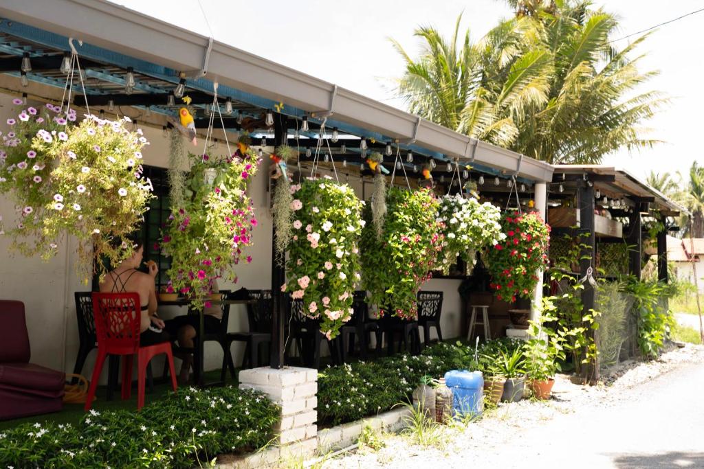 MIMPIMOON Langkawi في بانتايْ سينانج: فناء به مجموعة من الزهور والنباتات
