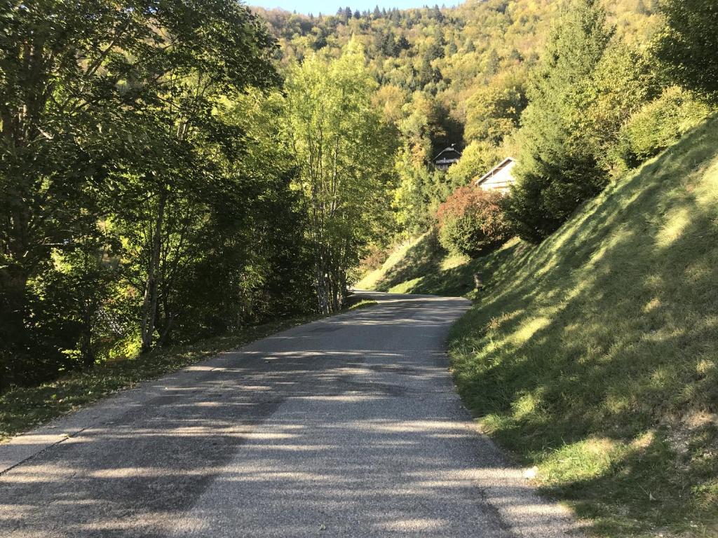 uma estrada com árvores em cada lado dela em Chalet du Renard em Aillon-le-Jeune