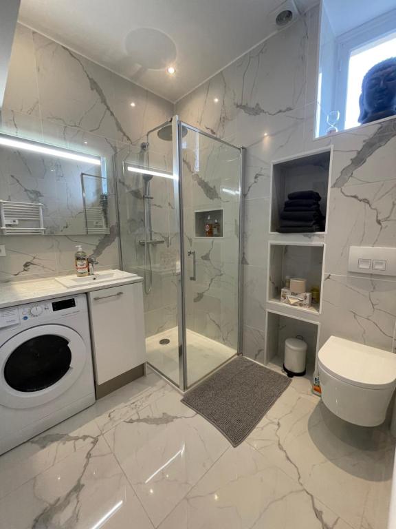 ein Bad mit einer Dusche und einer Waschmaschine in der Unterkunft Monaco Cosy 3 pièces in Saint-Antoine