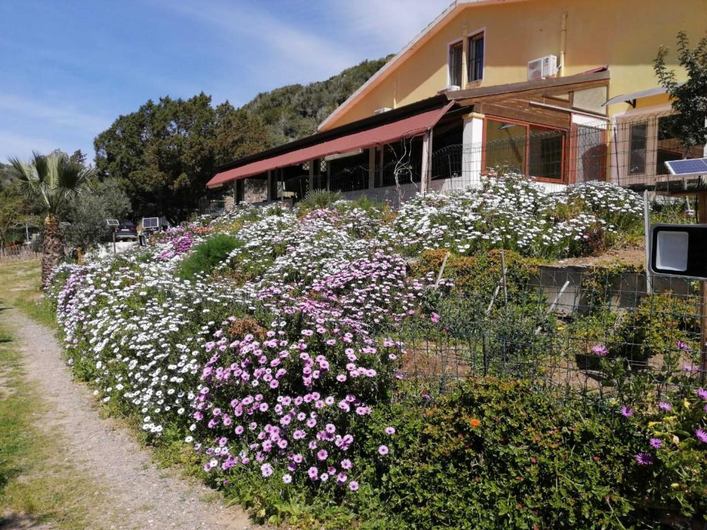 un jardín de flores frente a una casa en Il Lentischio - Rosmarino, en SantʼAntìoco